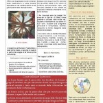 progetto catechistico diocesano_Pagina_4 (565x800).jpg